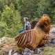 Die sog. Vogelschutzbank an der Mailalm. Künstler: Christian Staber, © A. Mittermeier Die sog. Vogelschutzbank an der Mailalm. Künstler: Christian Staber, © A. Mittermeier