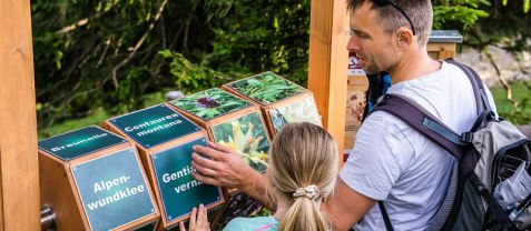 Interaktives Quiz am Wendelstein-M&auml;nnlein-Gipfelsteig, &copy; A. Mittermeier