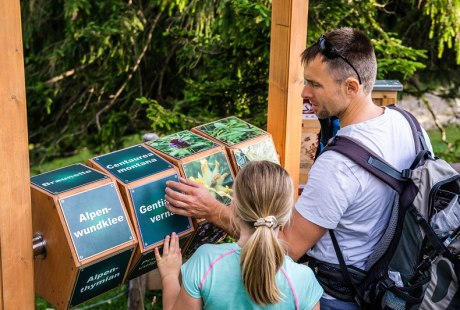 Interaktives Quiz am Wendelstein-M&auml;nnlein-Gipfelsteig, &copy; A. Mittermeier