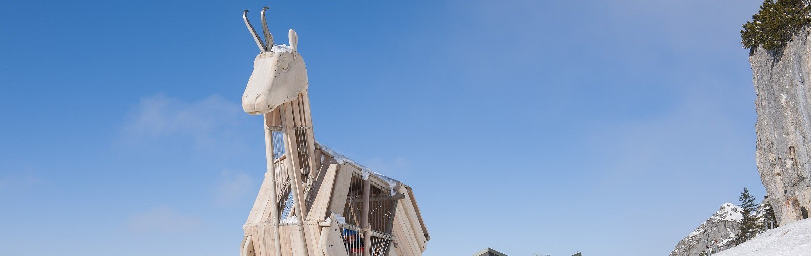 Die Trojanische Gams ist auch im Winter eine kleine Attraktion am Wendelstein, © M. Namberger / Chiemgau Tourismus e.V.